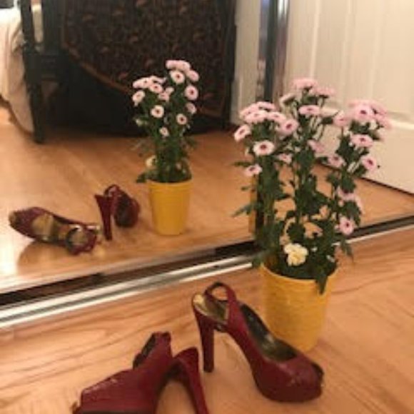 Stuart Weitzman platform heels with ankle straps - Picture 2 of 10